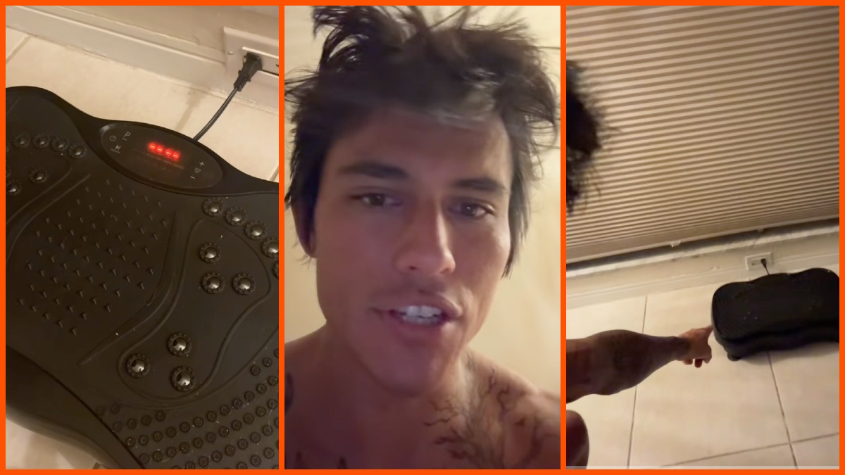 Steffan Rallo (@raw_and_untamed) via TikTok