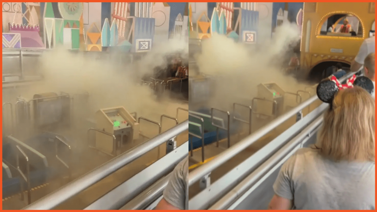Images via TikTok