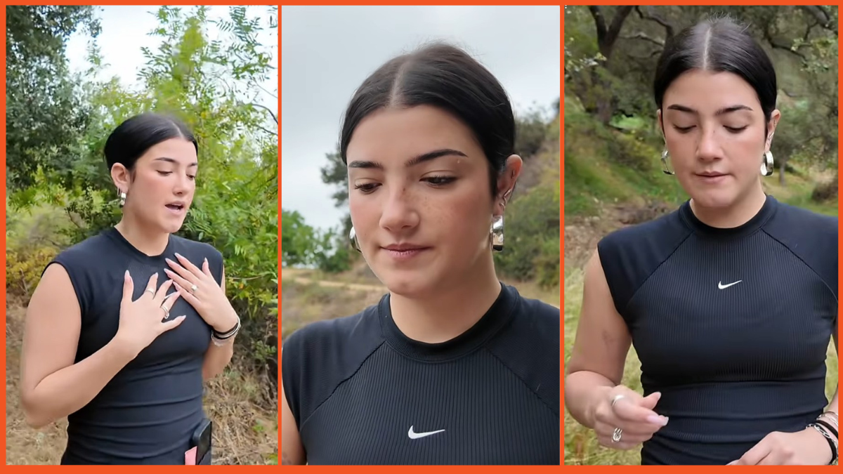 Images via TikTok