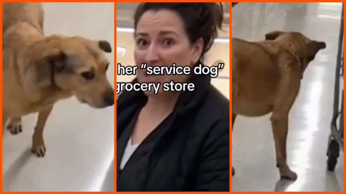 Woman confronted after dog defecates on a grocery store floor. Then she claims it's a service animal and says, ‘Every one of you does it, too'