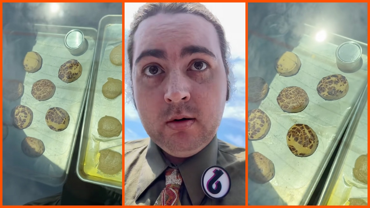 TheBenStory cookie experiment via TheBenStory (@thebenstory), TikTok