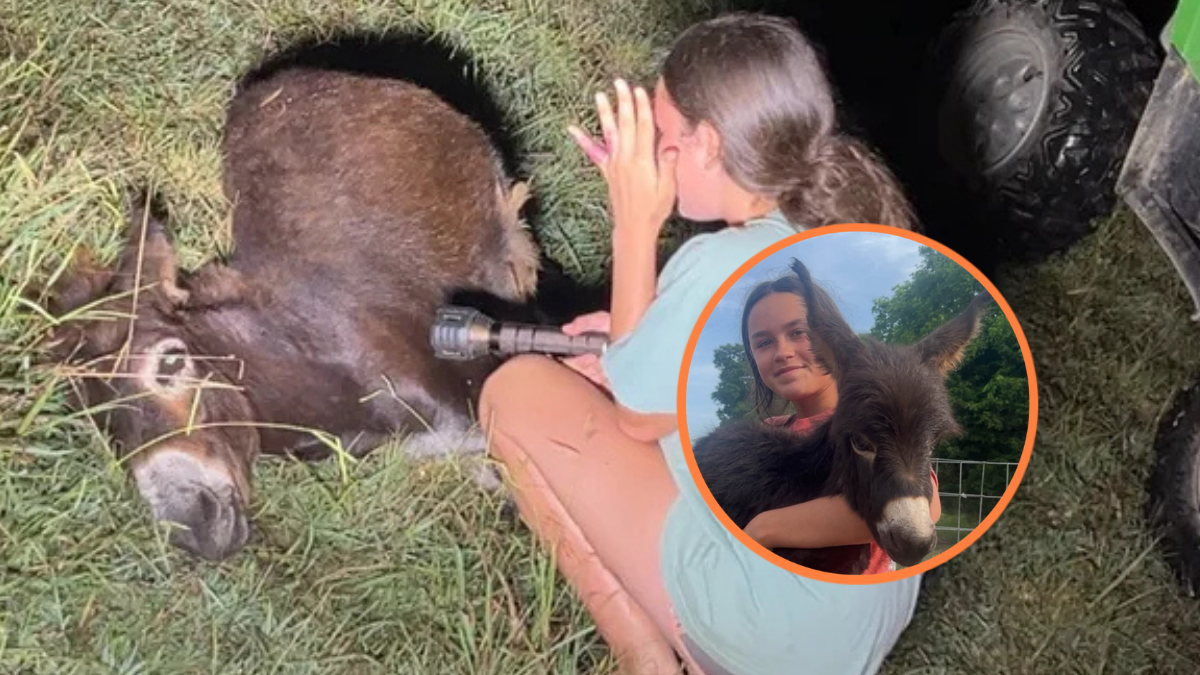 Baby donkey Heehaw and Hannah Israel