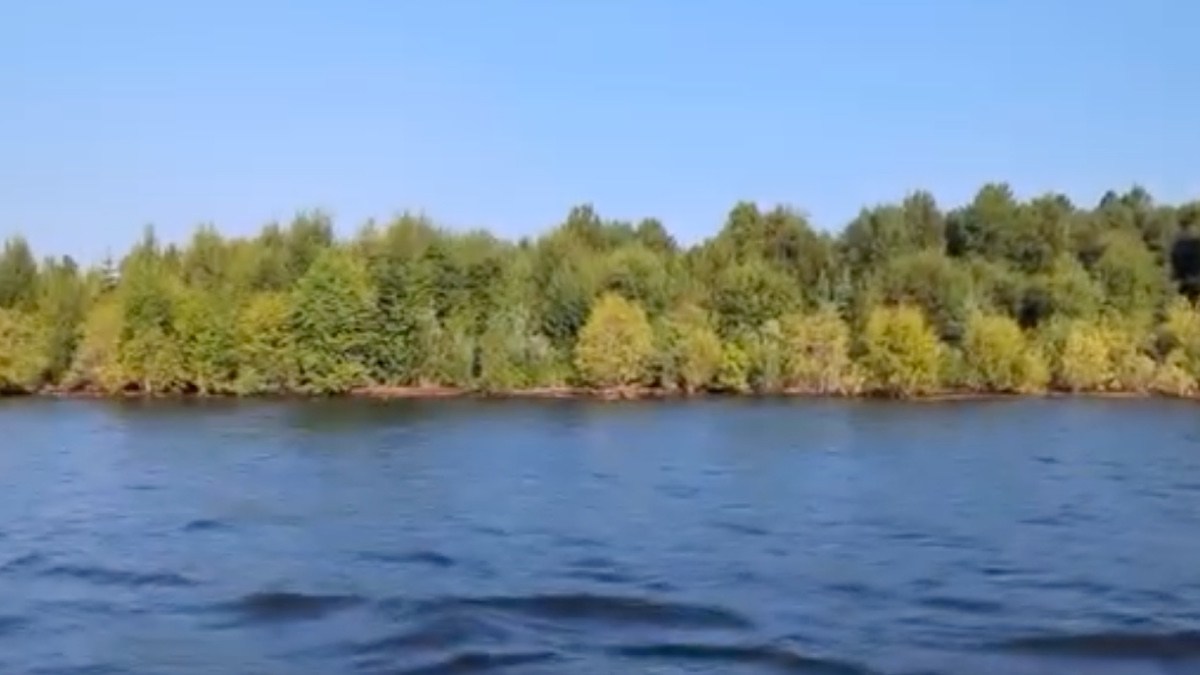 Williston Reservoir island via Rocky Avery, Facebook