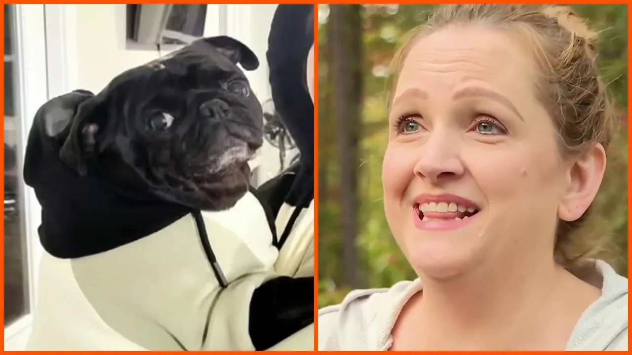 Georgia family has sick dog put down; months later, they find the dog alive and well, and this isn't the first time the clinic has done this