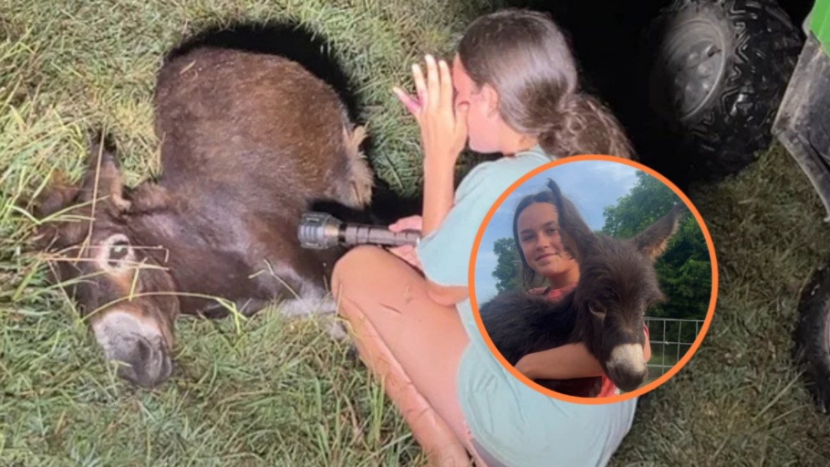 Baby donkey Heehaw and Hannah Israel